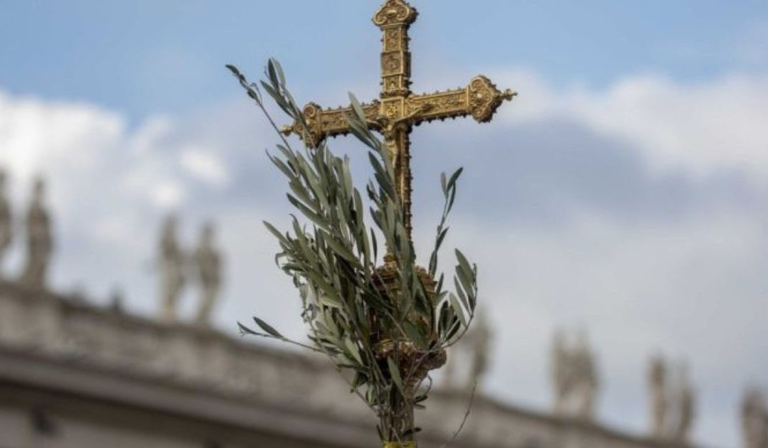 Domenica delle Palme, cosa è e perché si usano i rami di ulivo