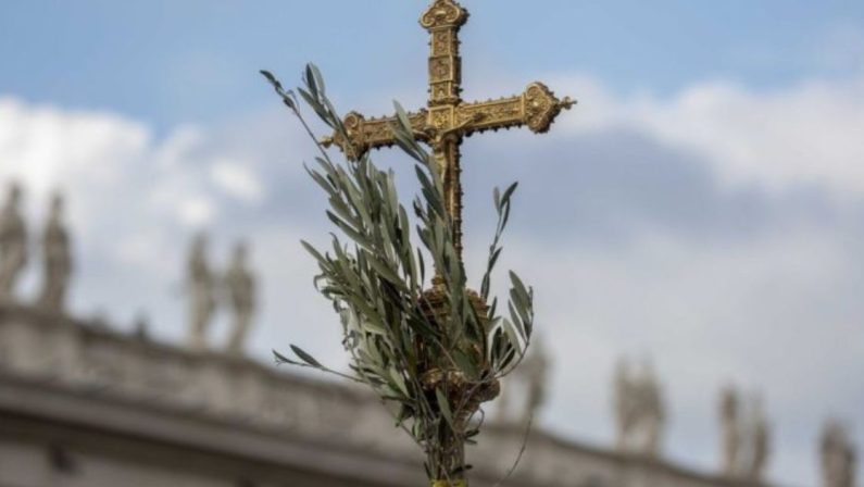 Domenica delle Palme, cosa è e perché si usano i rami di ulivo