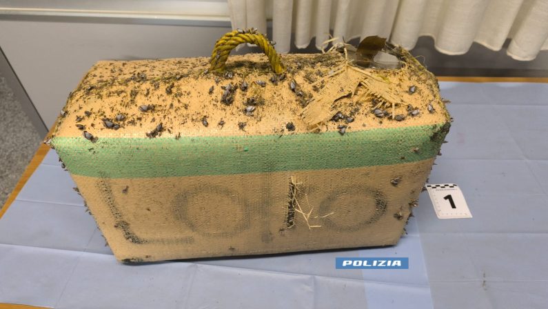 Gizzeria, 38 chili di hashish trovati sulla spiaggia