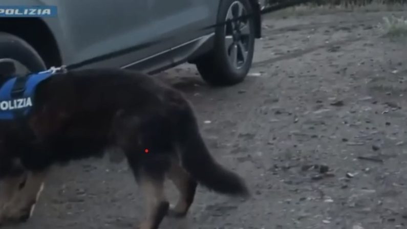 Last Minute, si rischiò lo scontro tra San Luca e Isola per una partita di droga non pagata