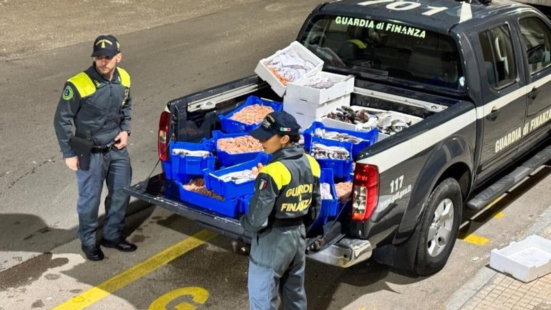 Puglia, sequestrati 115 kg di pescato privo di tracciabilità: accertata l’idoneità al consumo, è stato donato in beneficenza / Video