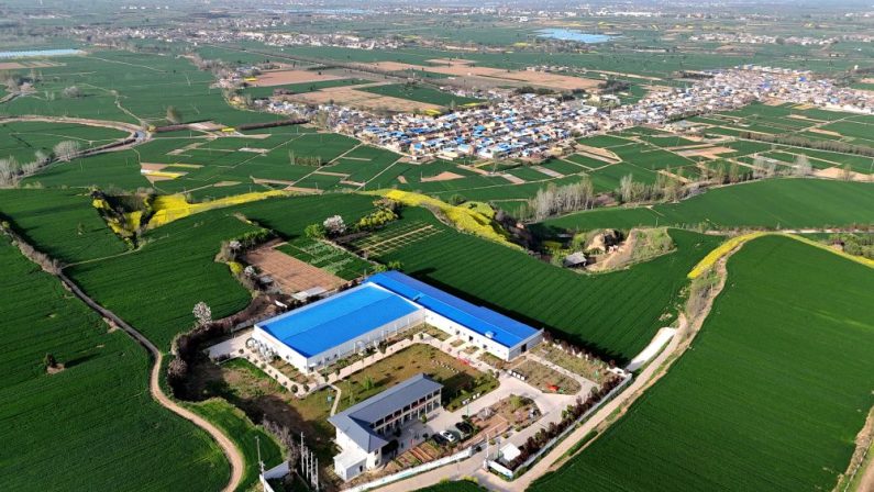 Cina, le industrie legate alle zone rurali in crescita nel primo trimestre