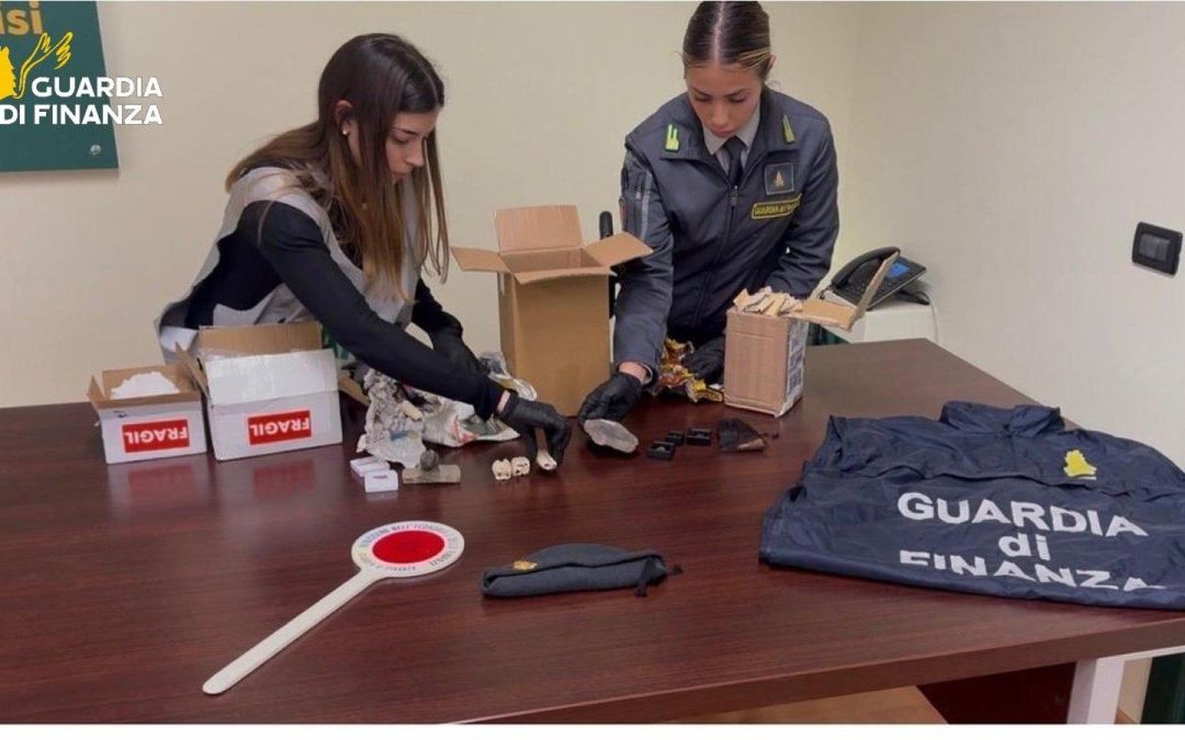 Palermo, sequestrati 17 reperti fossili risalenti a 50 milioni di anni fa