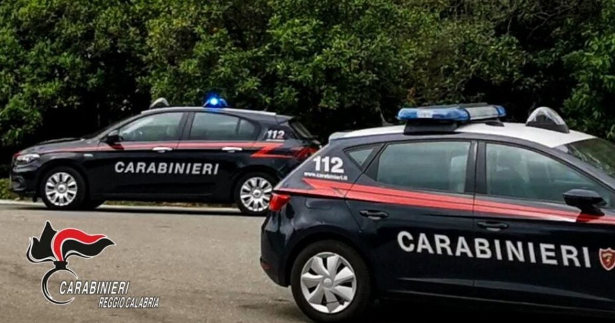 https://www.quotidianodelsud.it/wp-content/uploads/2026/04/carabinieri-reggio-calabria-daspo.jpg