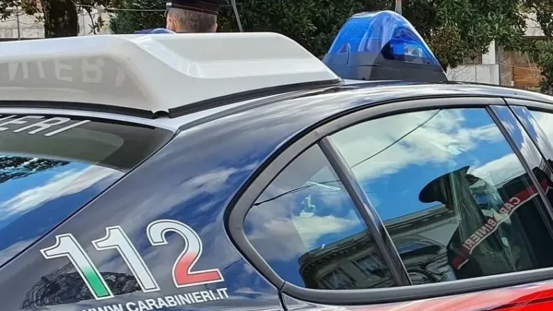 Gioia Tauro, scoperto caseificio lager, tra sporcizia e carcasse di animali