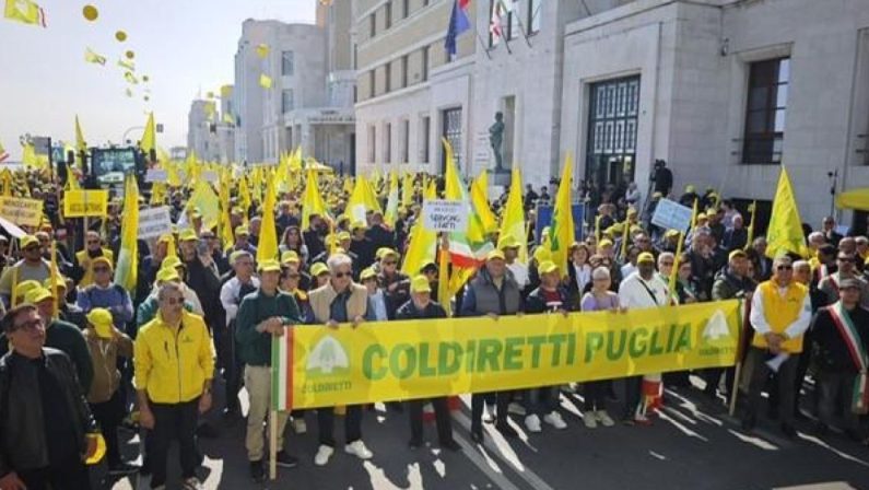 Coldiretti Puglia, serve Piano Marshall per agricoltura