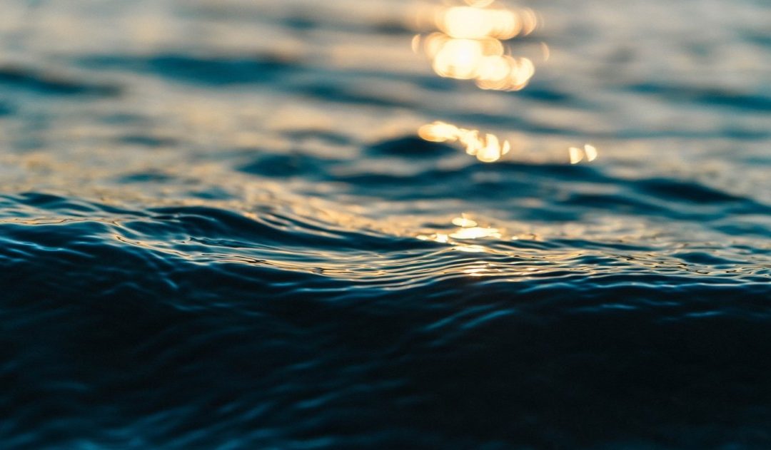 Settimana Verde AMI 2026: il 18 aprile a Soverato un grande intervento di pulizia dei fondali marini