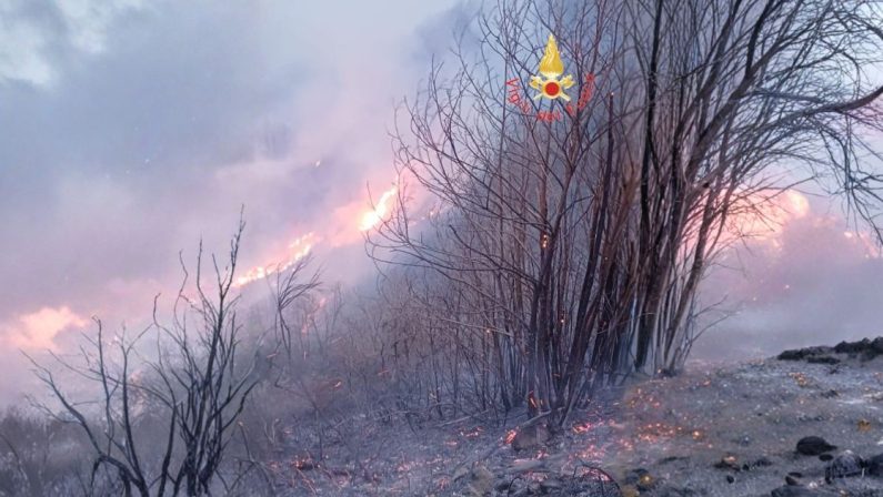 Vasto incendio tra Martirano Antico e Conflenti