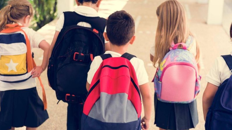 Video choc in classe sui maltrattamenti degli animali, attivisti vegani cacciati da scuola primaria