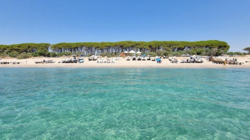 Bandiere Verdi 2026, Calabria regina delle spiagge per bambini, 22 località premiate. Entra Sellia Marina