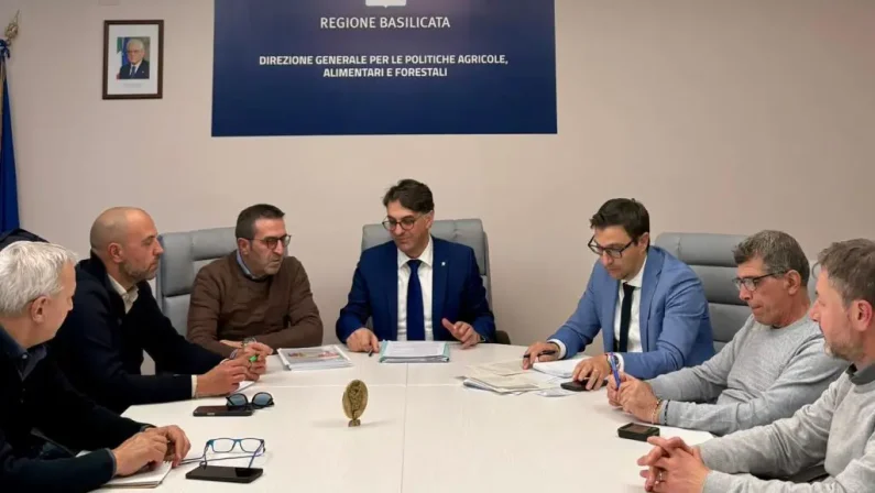 Basilicata, al via la campagna di forestazione 2026