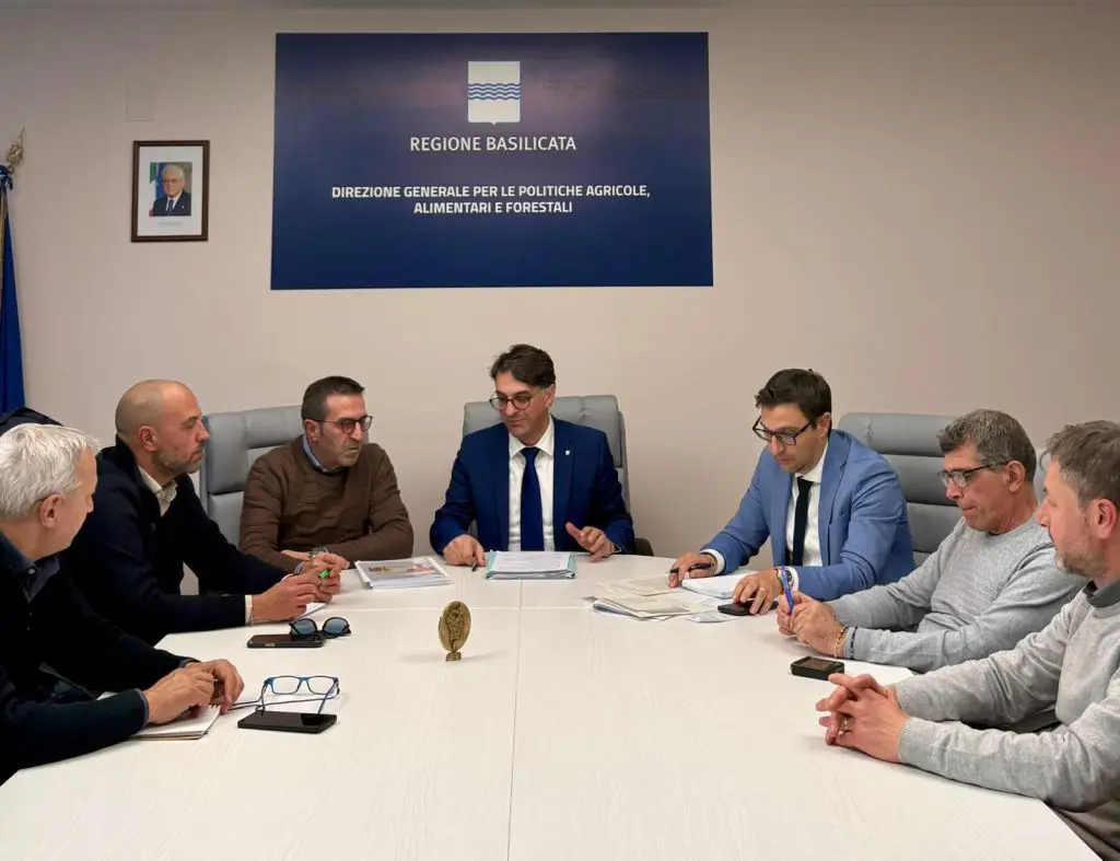 https://www.quotidianodelsud.it/wp-content/uploads/2026/05/basi.jpeg