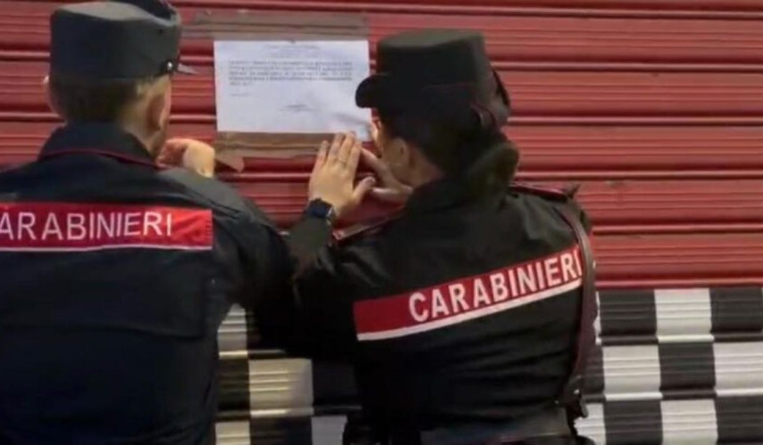 Botricello, cavallo di razza tra i rifiuti in una officina
