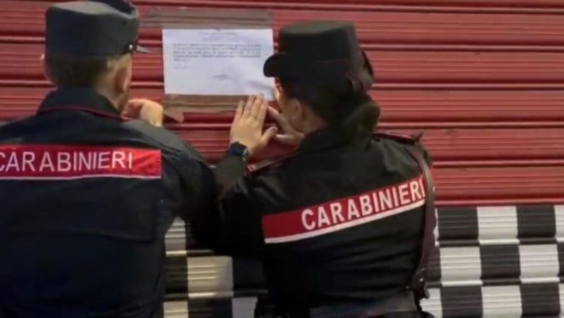 Botricello, cavallo di razza tra i rifiuti in una officina
