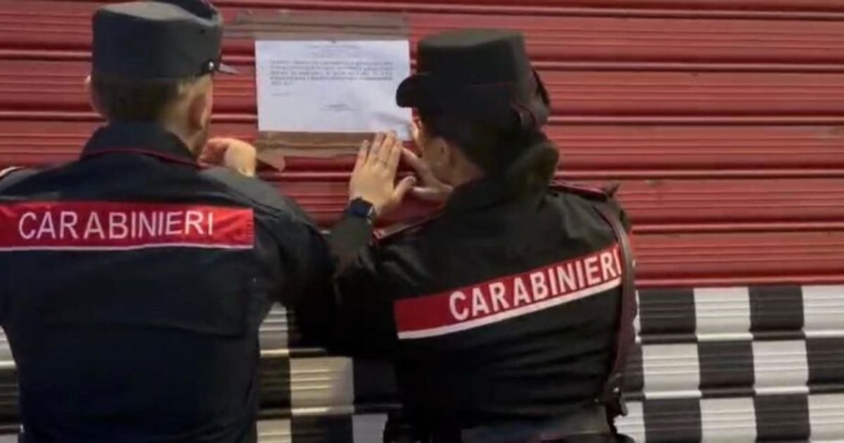 https://www.quotidianodelsud.it/wp-content/uploads/2026/05/botricello-officina-discarica-cavallo-di-razza.jpg