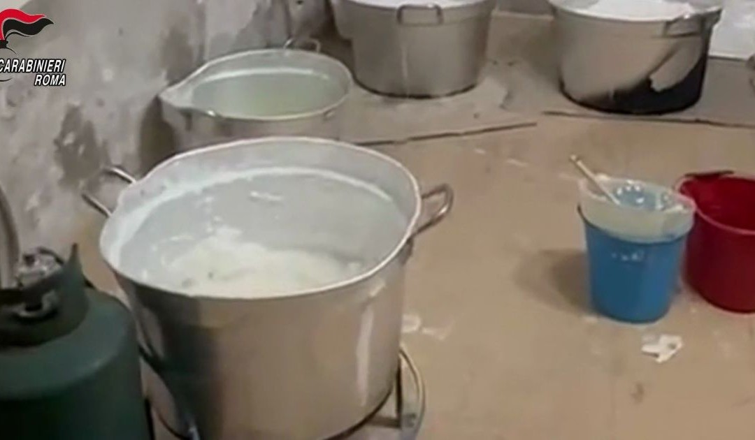 Calabria crocevia della cocaina, scoperta raffineria nel Reggino