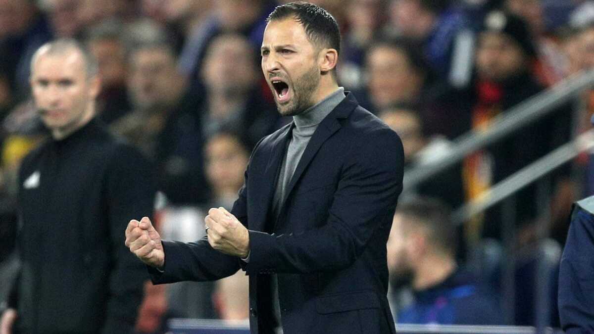 https://www.quotidianodelsud.it/wp-content/uploads/2026/05/domenico-tedesco-allenatore.jpg