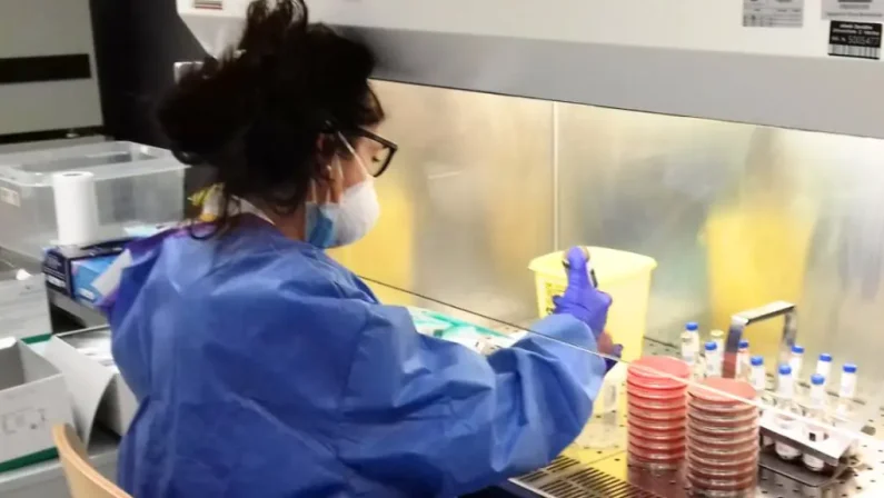 Tecnici di laboratorio, la Fno Tsrm e Pstrp richiama l’attenzione sul pieno riconoscimento della professione: indennità di rischio e specificità nel nuovo CCNL