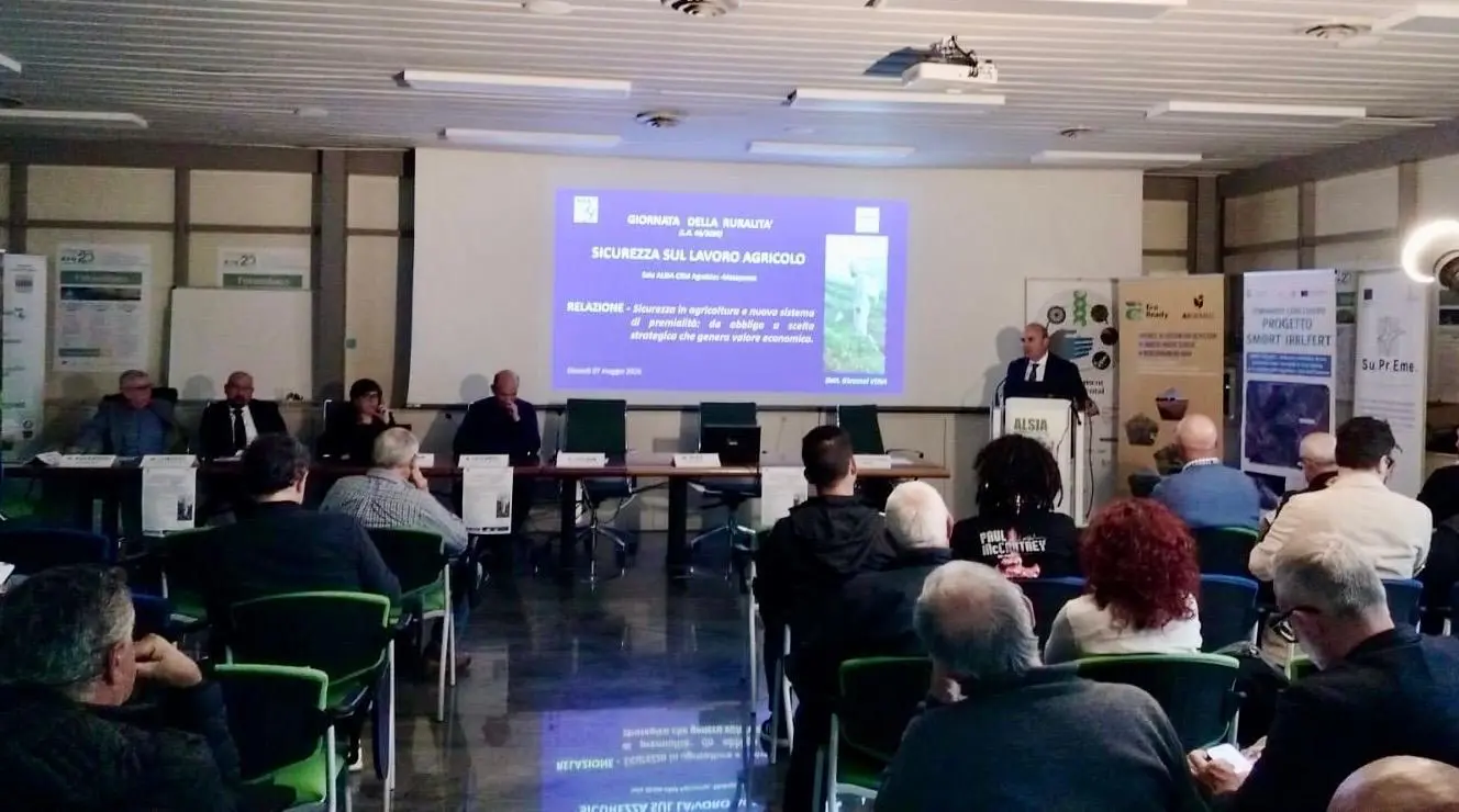 https://www.quotidianodelsud.it/wp-content/uploads/2026/05/foto-1.jpg