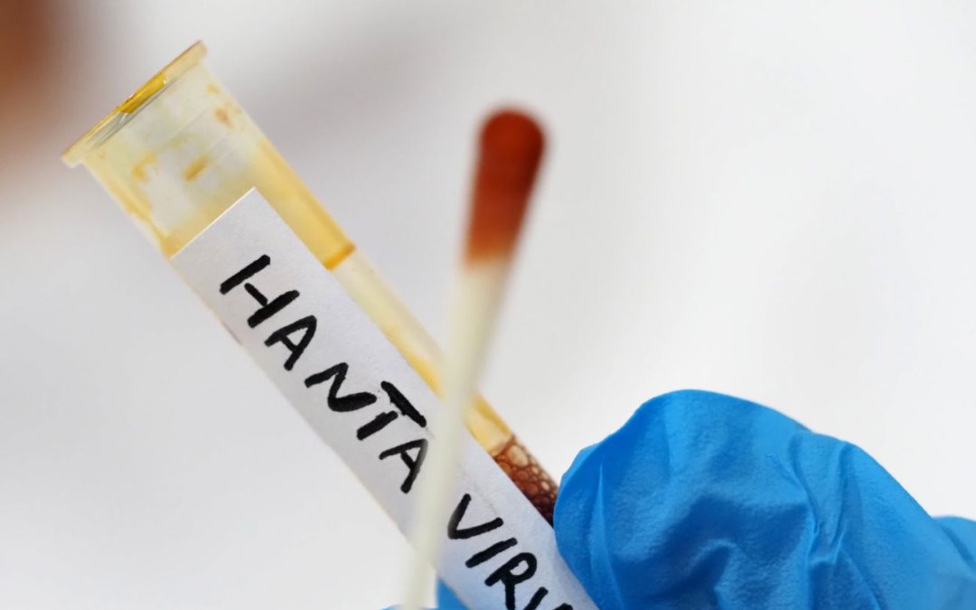 Hantavirus, il Ministero della Salute conferma: “Non risultano casi registrati in Italia”