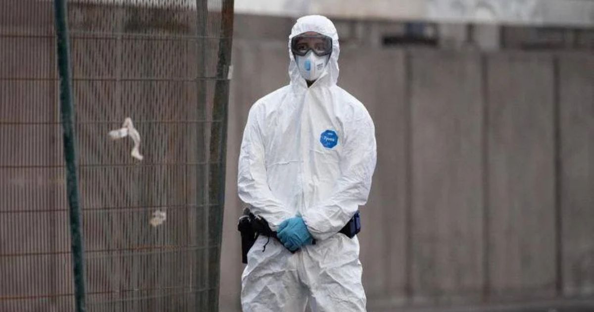 https://www.quotidianodelsud.it/wp-content/uploads/2026/05/hantavirus-1.jpg