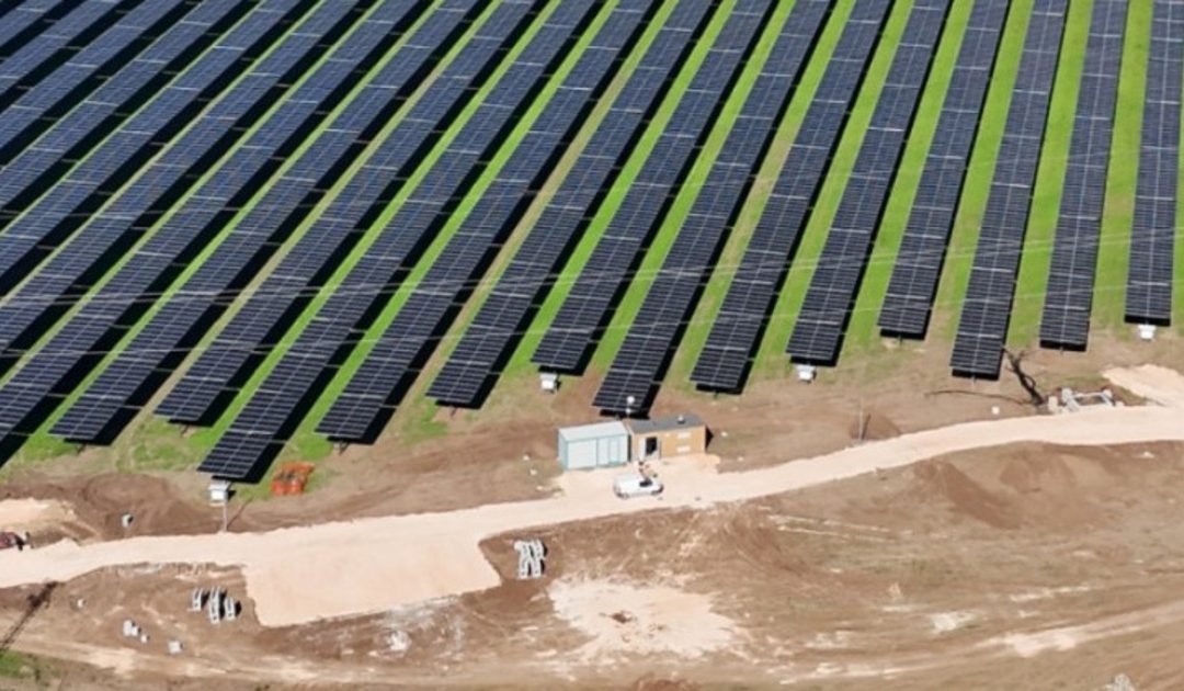 Ginosa, inaugurato il primo parco agrivoltaico di Zelestra in Italia
