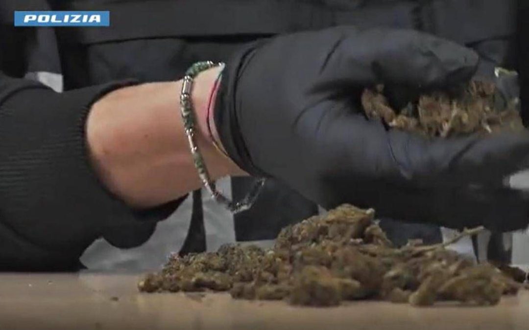 Maxi operazione della polizia: 1.335 arresti, sequestrati 450 kg di droga