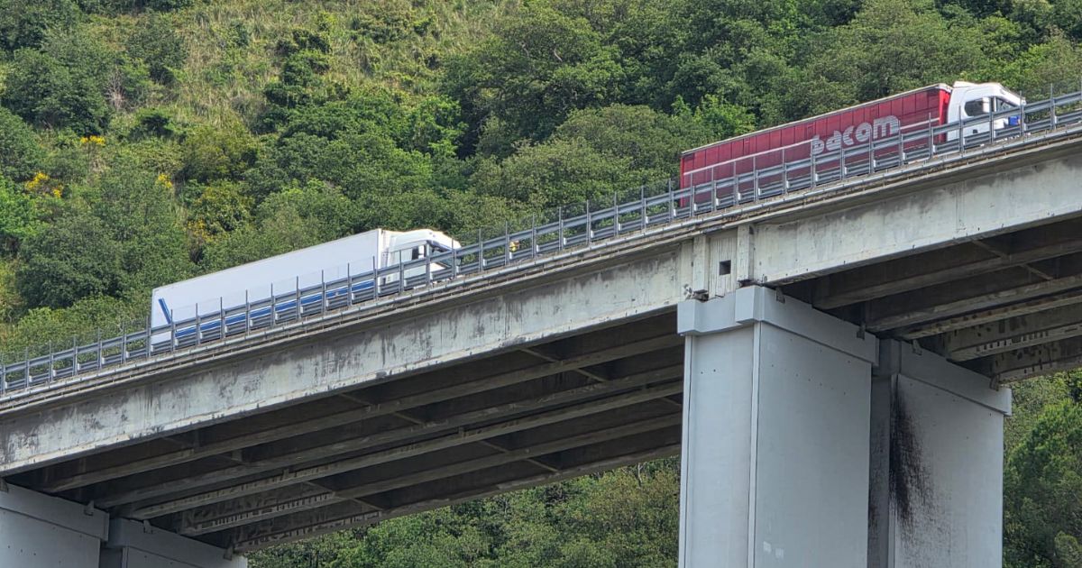 https://www.quotidianodelsud.it/wp-content/uploads/2026/05/viadotto-pizzo-calabro.jpg