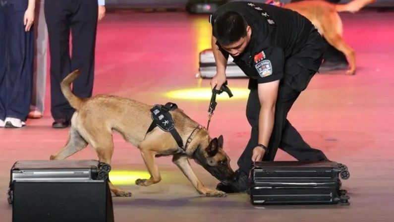 Cina, da inizio anno sequestrate oltre 4 tonnellate di droga alle frontiere