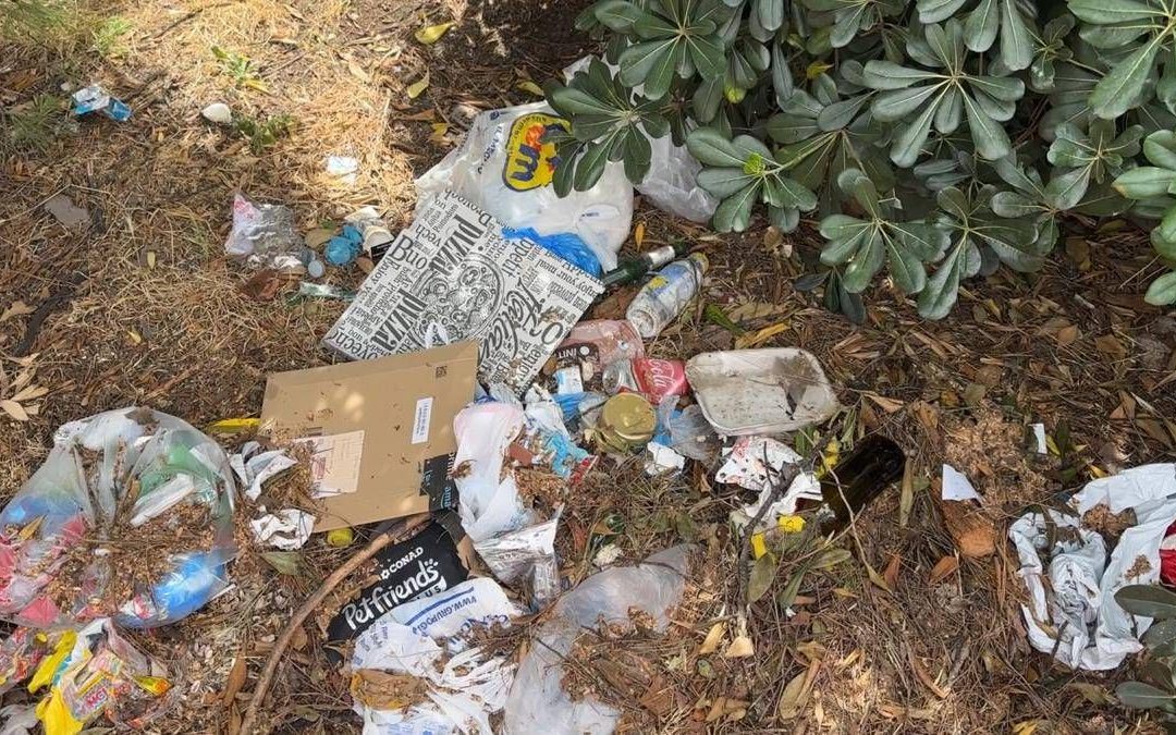 Roma, aiuole e marciapiedi nel degrado intorno alla Nuvola: all’Eur cittadini costretti a camminare fra le auto