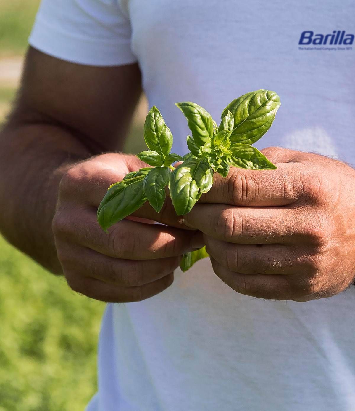 https://www.quotidianodelsud.it/wp-content/uploads/2026/06/barilla-report-sostenibilita2025-us.jpeg