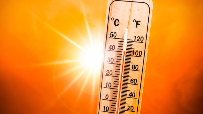 Caldo, l’avvertimento di Pregliasco: “38°C in molte città, ma il vero nemico è l’umidità”