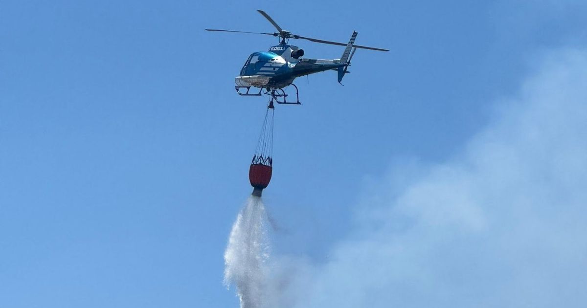 https://www.quotidianodelsud.it/wp-content/uploads/2026/06/canadair-incendio-trebisacce.jpg