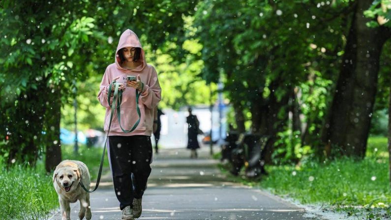 Obbligo di lavare la pipì del cane in strada, Bassetti: “Dal punto di vista scientifico non serve a nulla”