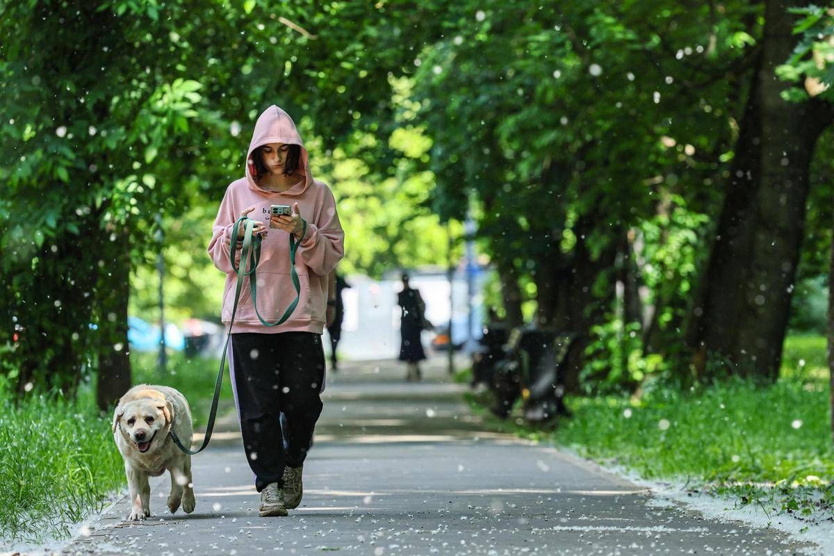 https://www.quotidianodelsud.it/wp-content/uploads/2026/06/cane-passeggiata-fg-ipa.jpeg
