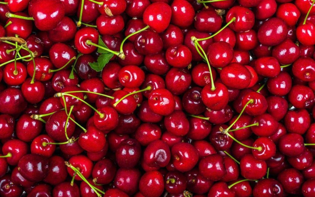 La ciliegia e le qualità ‘nascoste’, Calabrese: “Anche il gambo fa bene”