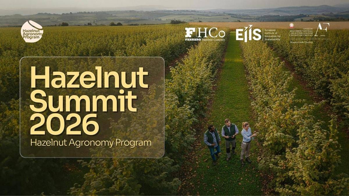 https://www.quotidianodelsud.it/wp-content/uploads/2026/06/copertina-hazelnut-summit2026-us.jpeg