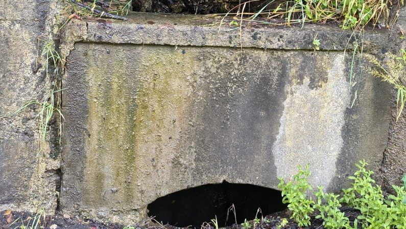 Consumi anomali dell’acqua a Cosenza, l’ira dei cittadini: «Controlli anche sulla rete idrica»