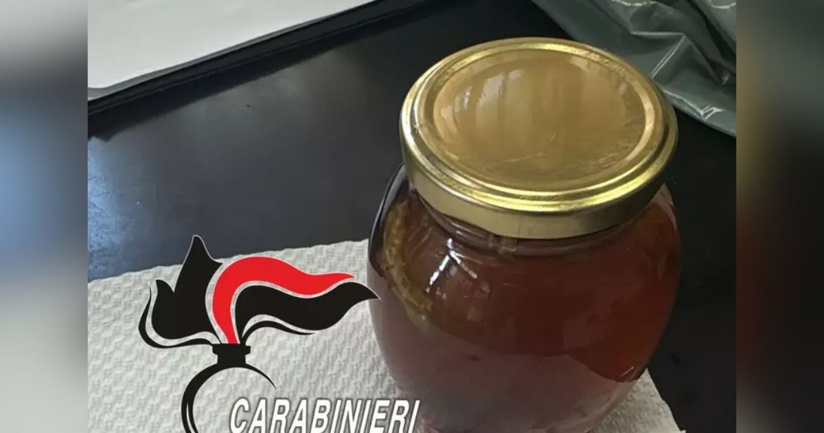 https://www.quotidianodelsud.it/wp-content/uploads/2026/06/frattamaggiore-miele-da-sballo.jpg