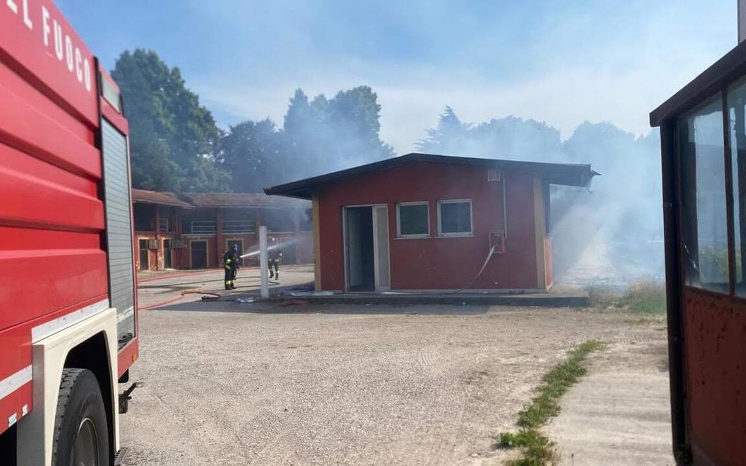 Treviso, incendio all’ippodromo Sant’Artemio: sei cavalli muoiono tra le fiamme
