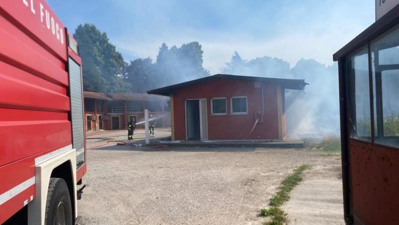 Treviso, incendio all’ippodromo Sant’Artemio: sei cavalli muoiono tra le fiamme