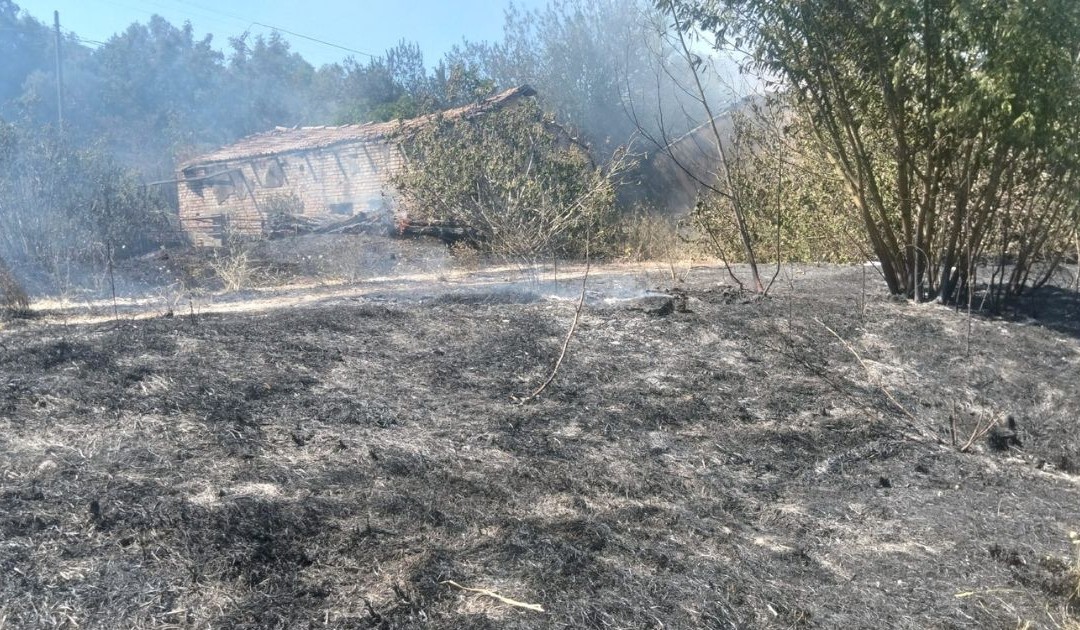Parte dell'area interessata dall'incendio (foto di Costantino Francesco Colosimo)