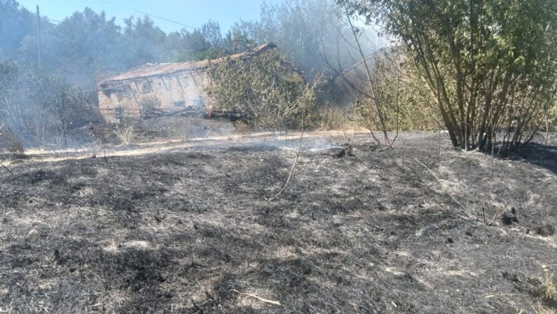 Incendio in area universitaria, coinvolta la zona del quartiere Monaci