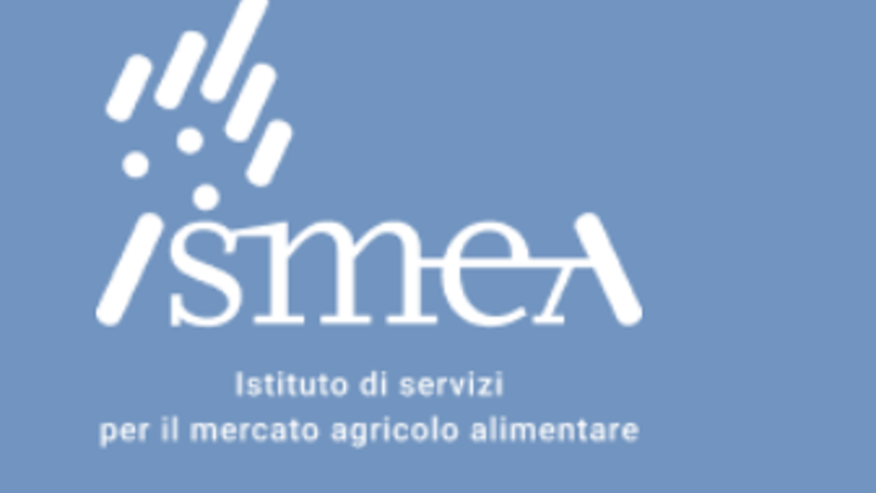 Ismea: bilancio 2025, ente solido e utile in crescita, approvati nuovi criteri Banca nazionale delle Terre Agricole