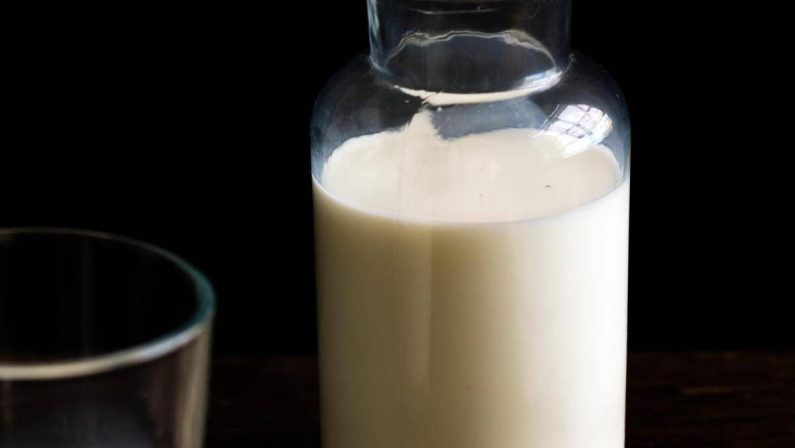 Latte crudo, nuove infezioni tra gli ‘adepti’. Bassetti: “Va vietato”