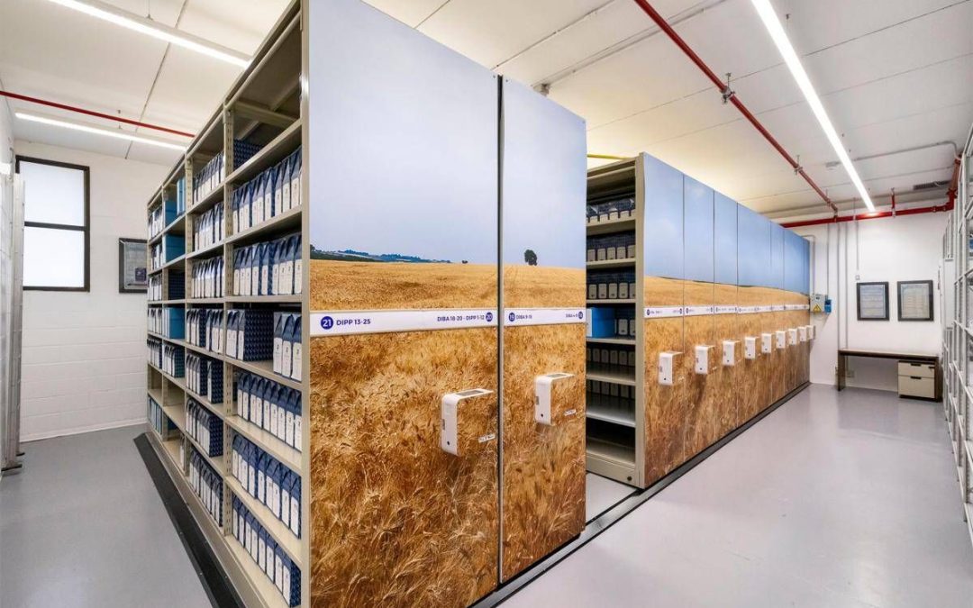 Nell’Archivio Storico Barilla la storia non solo di un gruppo ma della nostra società