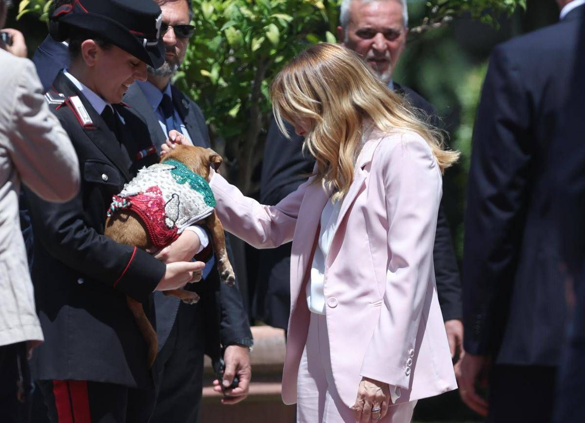 https://www.quotidianodelsud.it/wp-content/uploads/2026/06/meloni-briciola-ipa.jpeg