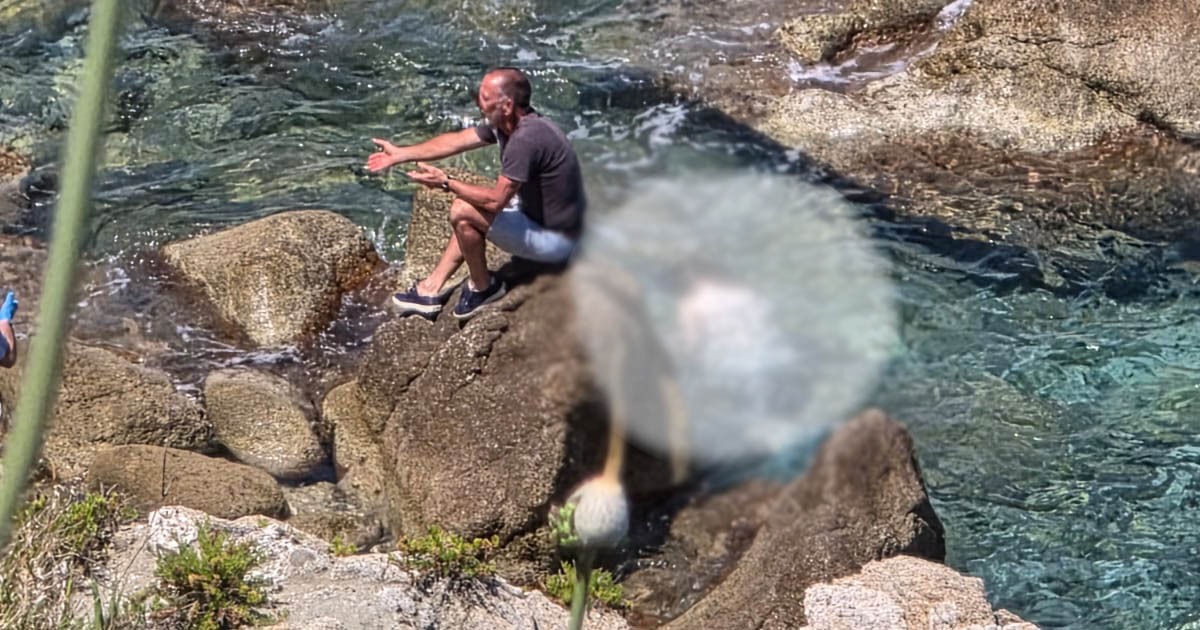 https://www.quotidianodelsud.it/wp-content/uploads/2026/06/morta-mare-vibo-marina.jpeg