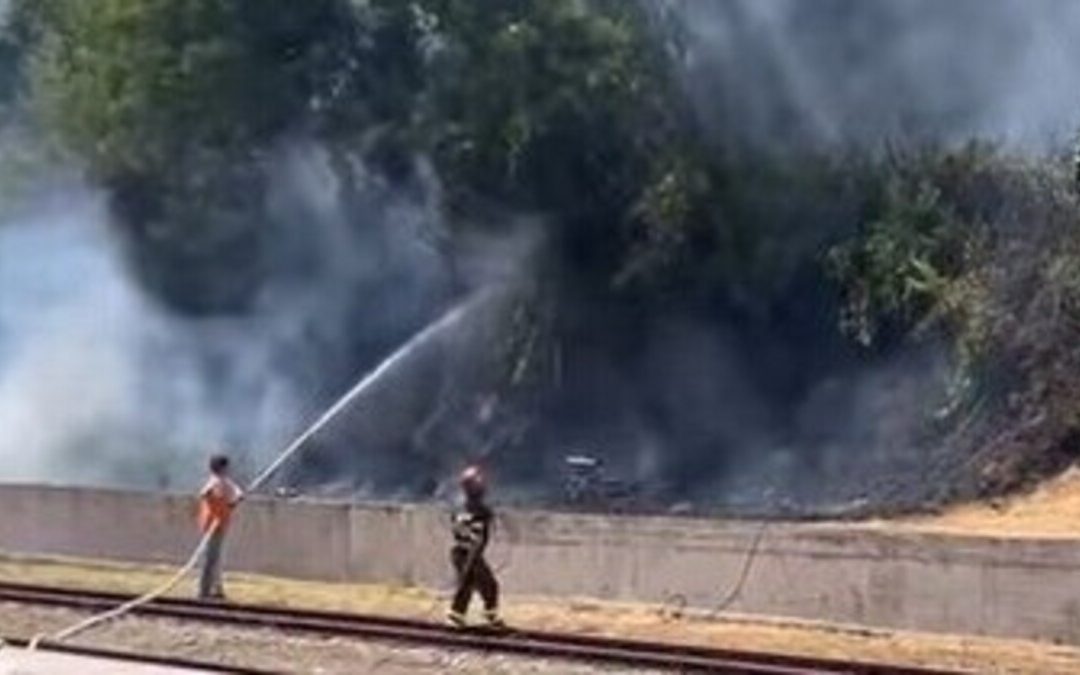Potenza, vasto incendio lungo la ferrovia Fal:  circolazione bloccata