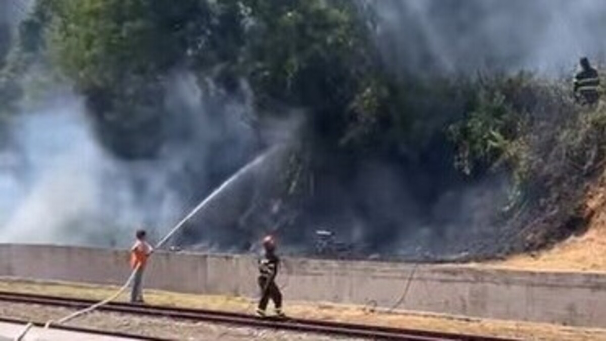 https://www.quotidianodelsud.it/wp-content/uploads/2026/06/potenza-incendio-stazione-fal.jpg